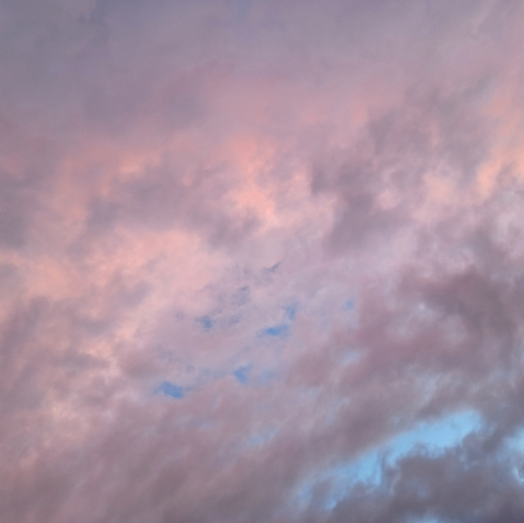 Meet your Posher, Izzy - Picture 1 of 1